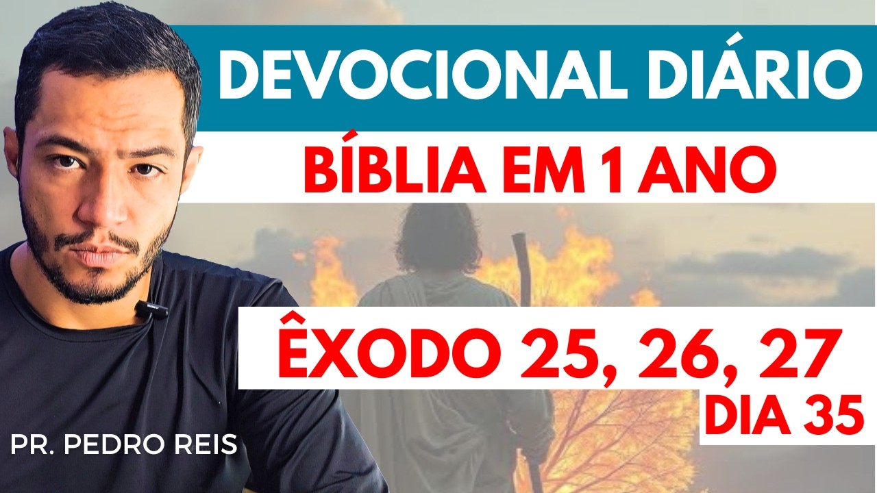 DEVOCIONAL DIÁRIO: A BÍBLIA EM 1 ANO - ORDEM CRONOLÓGICA