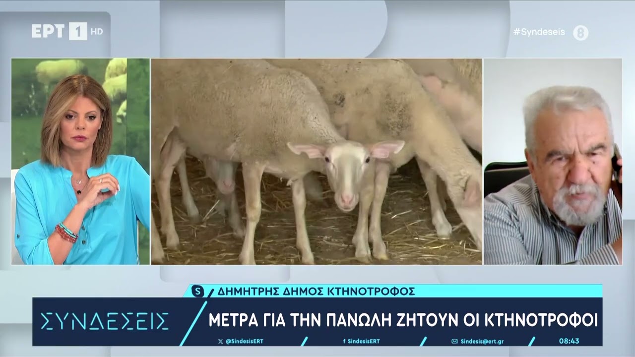 Αγώνας δρόμου για τον περιορισμό της πανώλης των αιγοπροβάτων | 8/8/2024 | ΕΡΤ