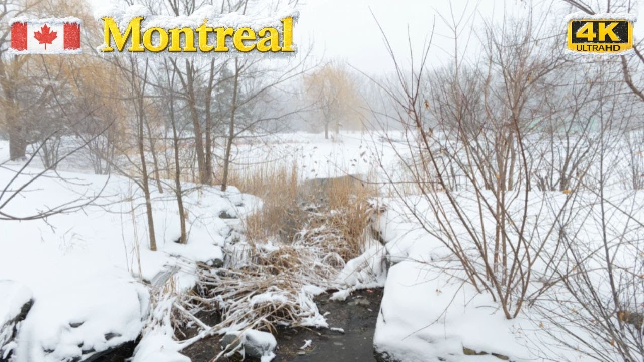 Relaxing Walk Through Heavy Snow ❄️ | Snow, Wind & Trees in Angrignon Park