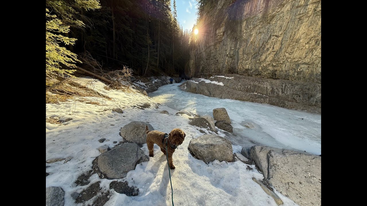 Charlie learns to walk on water at Grotto Canyon