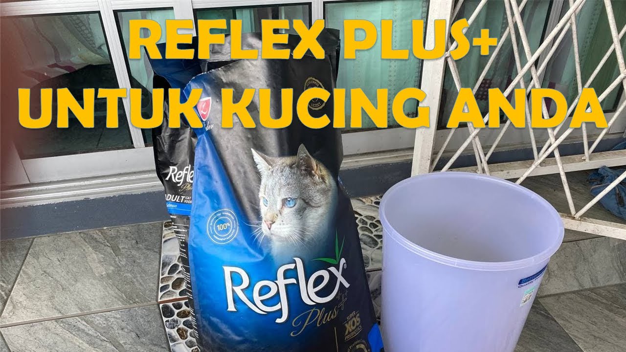 REVIEW MAKANAN KUCING REFLEX PLUS+ SALMON | MALAYSIA
