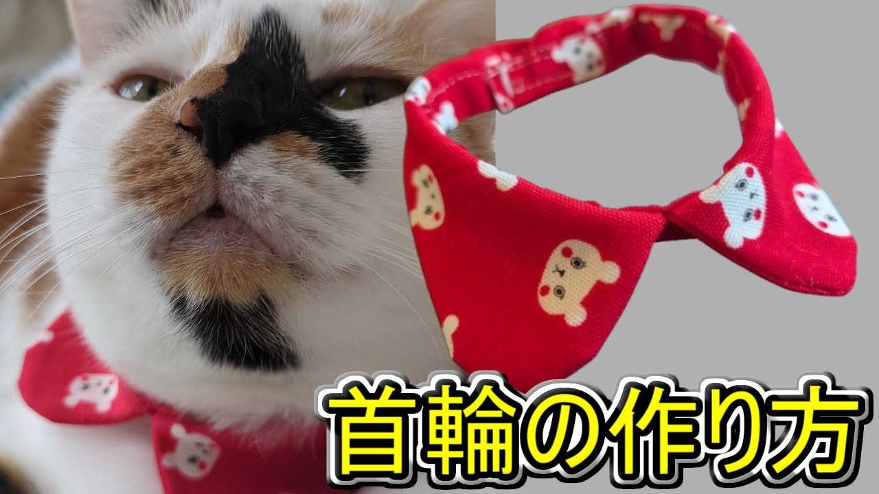 型紙付き【神回】襟付き首輪の作り方を詳しく解説していきます