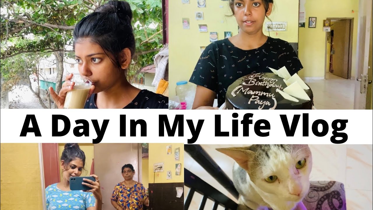 A DAY IN MY LIFE VLOG \ cake vlog \ simple potato fry recipe \ srijuu&rsquo;s lifestyle #dayinmylife