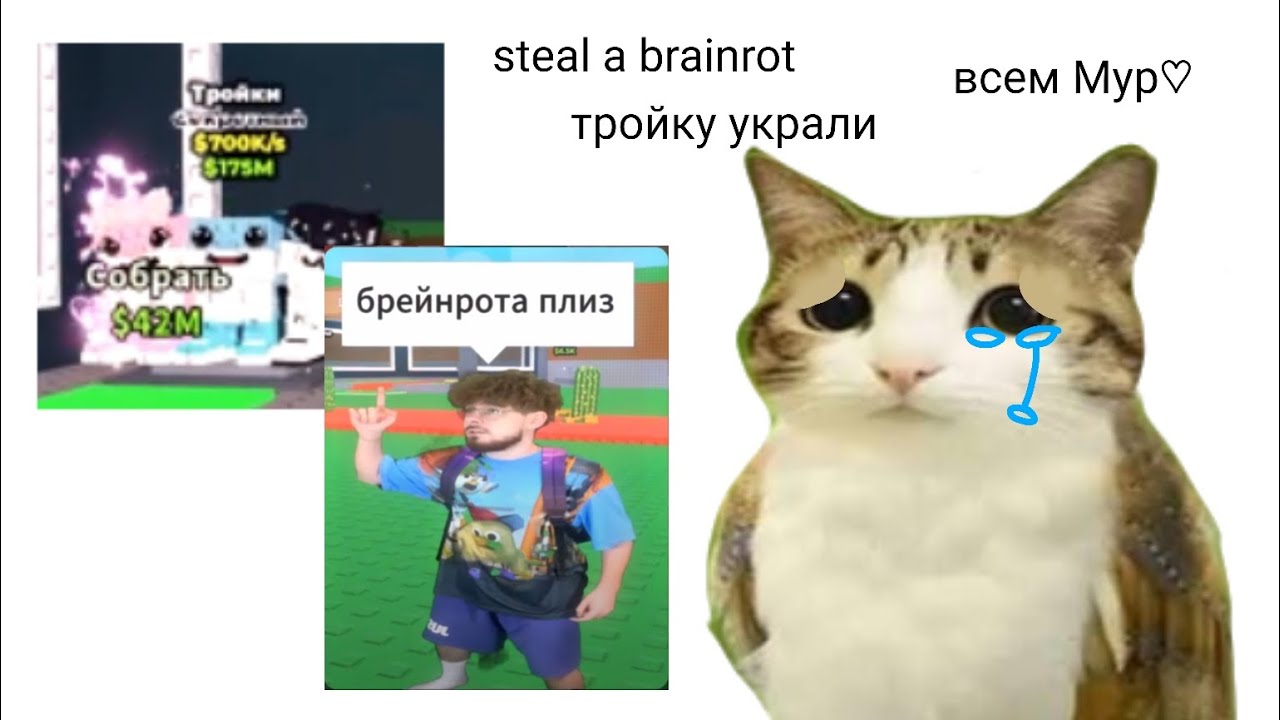 Украли тройку😭 𝕤𝕥𝕖𝕒𝕝 𝕒 𝕓𝕣𝕒𝕚𝕟𝕣𝕠𝕥 всем Мур♡