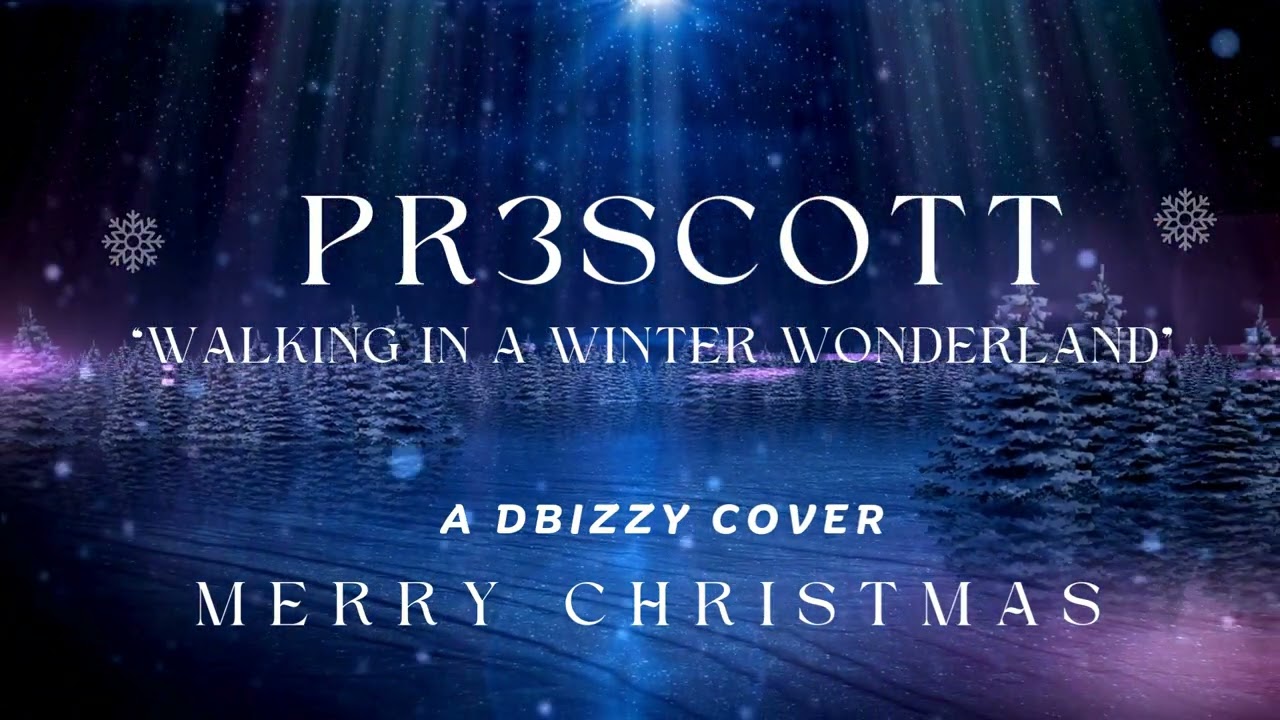 Winter Wonderand Dbizzy Cover