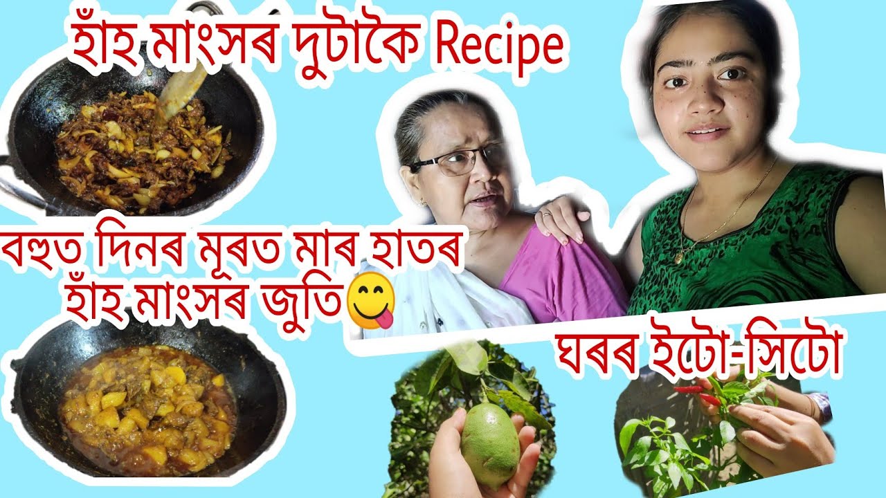 Sunday special daily vlog/ হাঁহ মাংস এনেদৰেও খাই চাব চোন/Duck Recipe/দিনটো কি কি কৰি কটালো