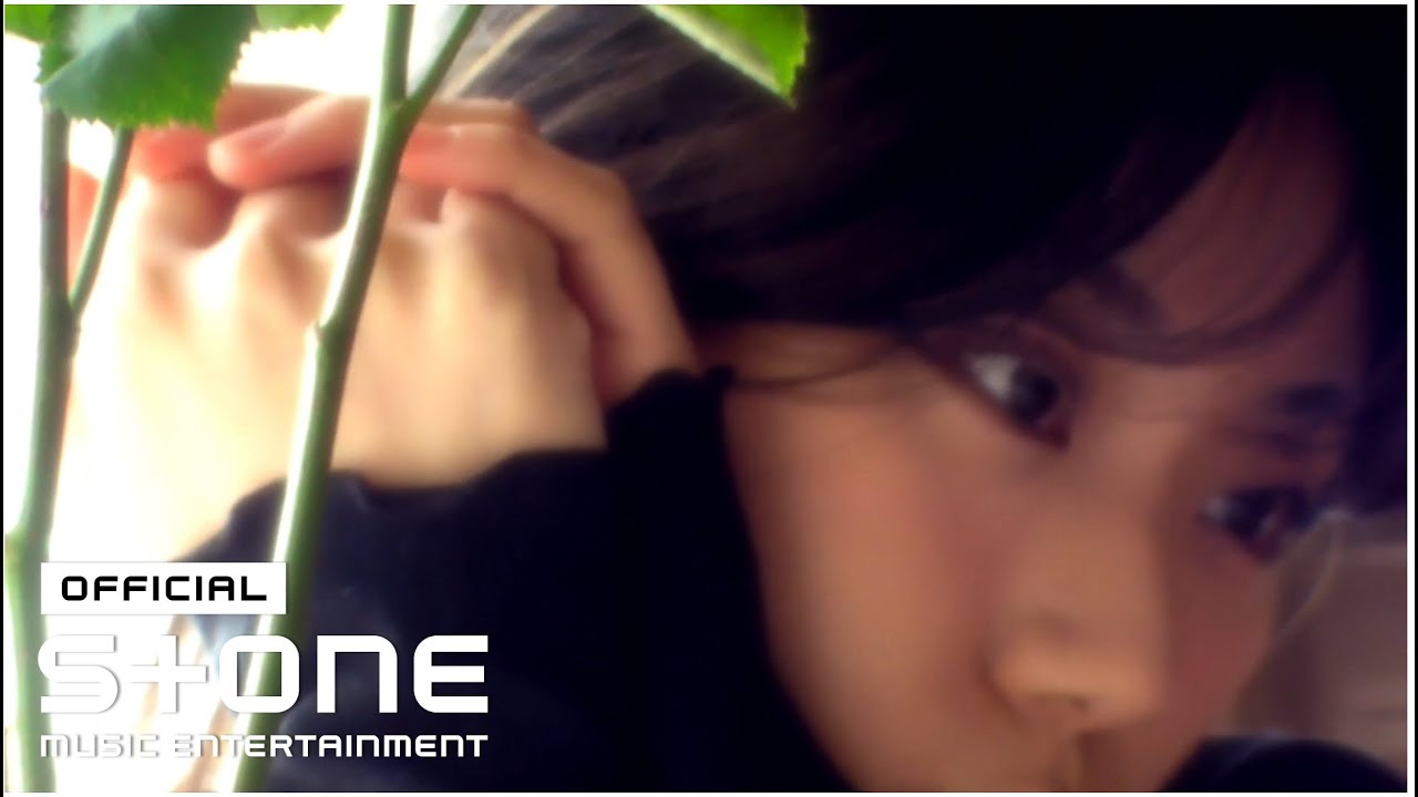 최첼로 (Choi Cello) - Fall MV