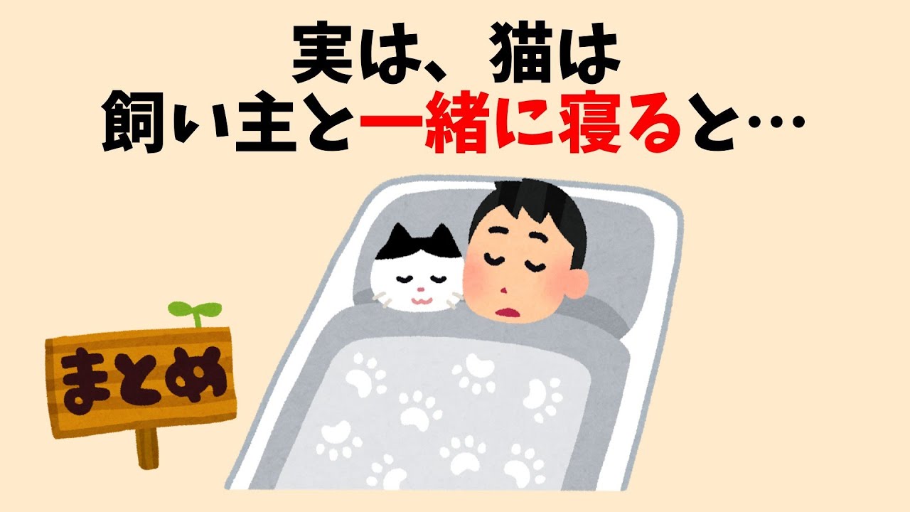 【聞き流し】猫に関する雑学 #猫 #雑学 #豆知識 #聞き流し #ねこ #睡眠用 #総集編