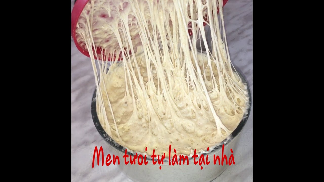 C&aacute;ch Đơn Giản Nhất Tự L&agrave;m Men Tưoi Tại Nh&agrave; Dễ Hiểu Dễ Th&agrave;nh C&ocirc;ng Ai Cũng L&agrave;m Được -Fresh Yeast
