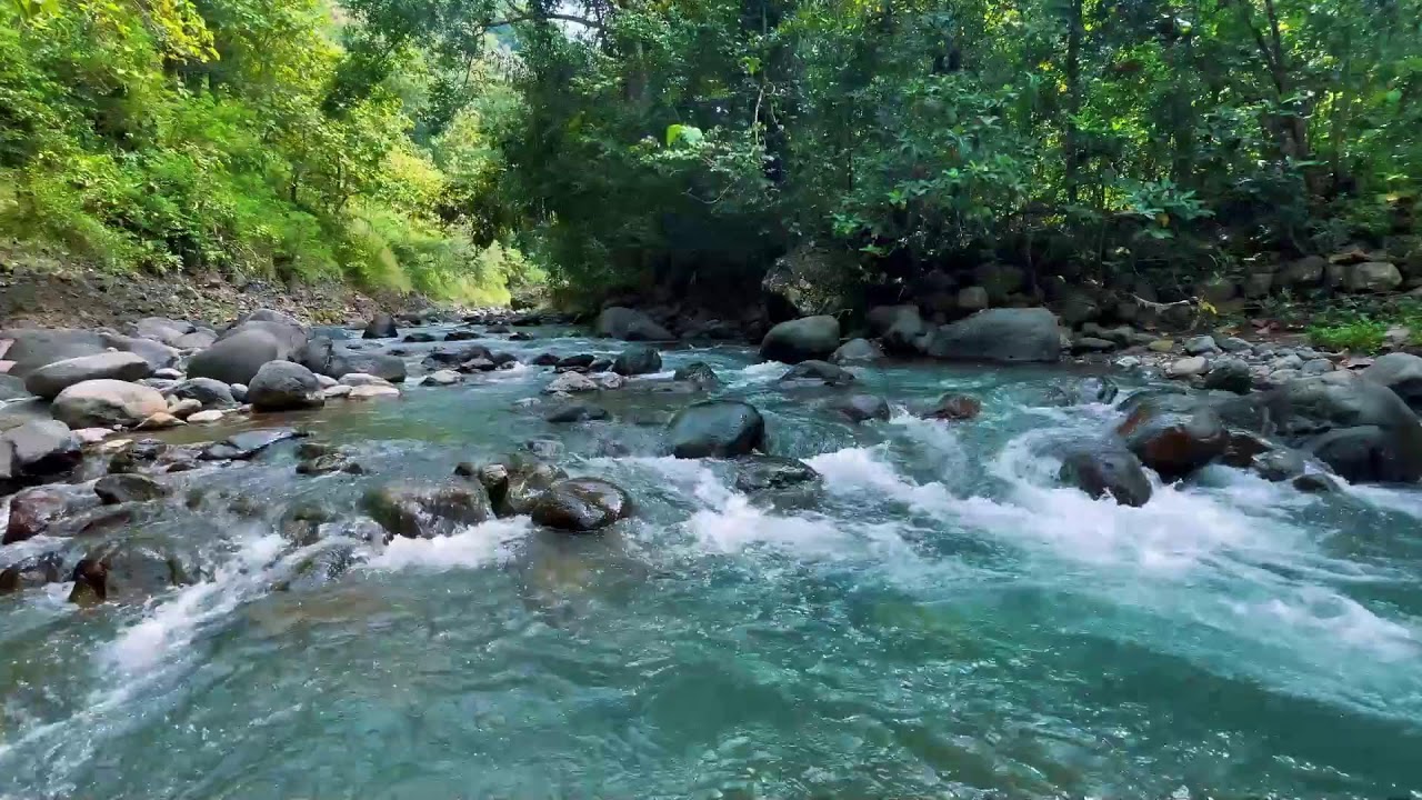 Relaxing River Sounds for Focus, Studying & A Peaceful Home 🌿 Relaxing Sleep Calming Anxiety
