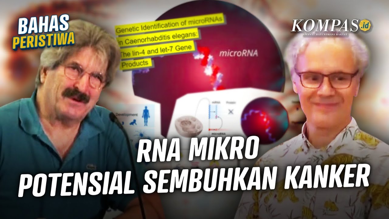 Potensi RNA Mikro Penyembuh Kanker dan Dua Profesor Peraih Nobel