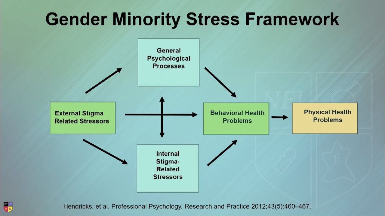 Gender Minority Stress Framework