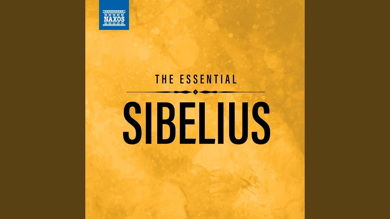 Symphony No. 2 in D Major, Op. 43: I. Allegretto