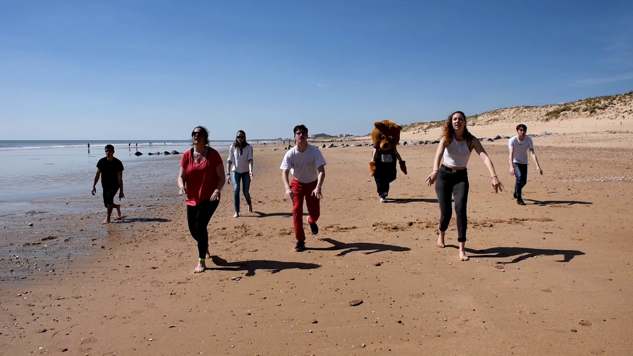 Camping Le Clos des Pins - Danse du camping - 2019