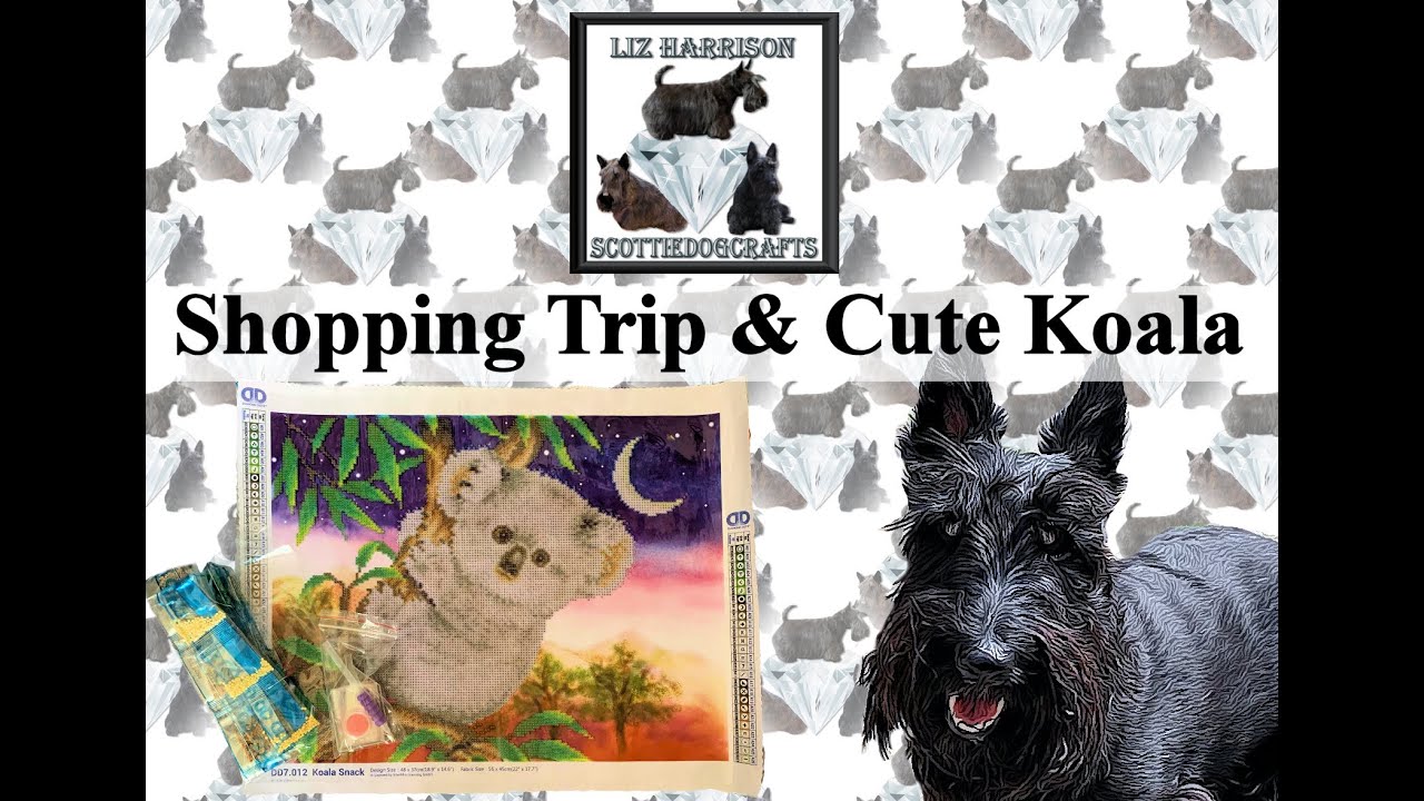 Diamond Painting | UNBOXING | Diamond Dotz | Koala Snack | from Hobbycraft