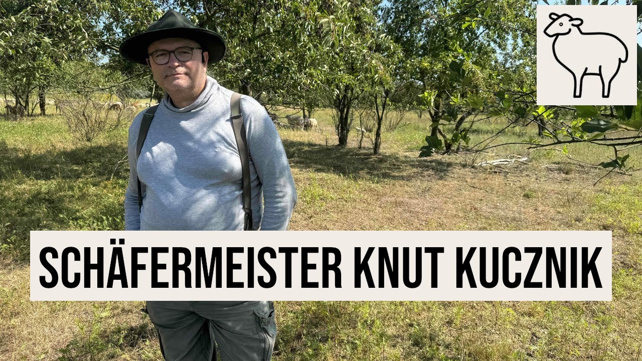 24.08.2024 #Berlin Schäfermeister Knut Kucznik im Kienbergpark blickt nach vorn #Blauzungenkrankheit