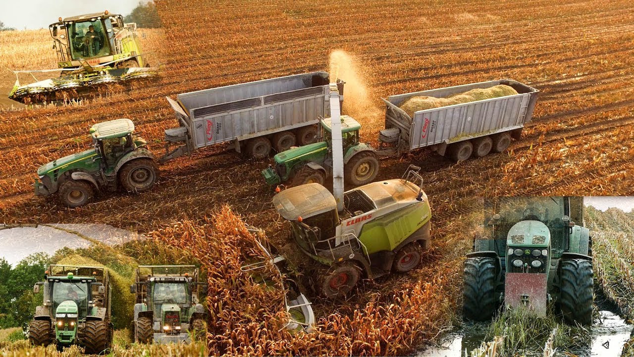 Mokra kiszonka na największą skalę 2017! GR Cieszymowo, Big Ensilage, Maishäckseln, CaseTeam