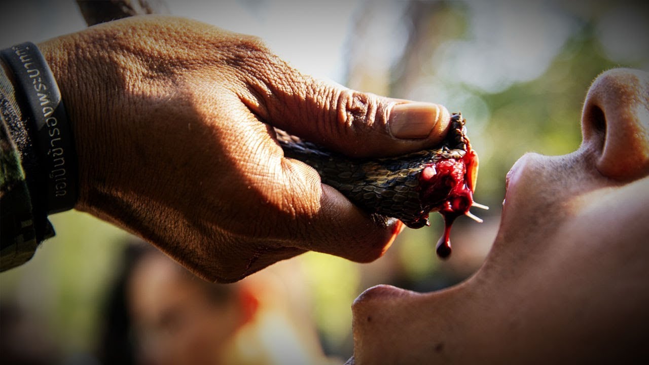 Cobra Gold 19: jungle survival Training