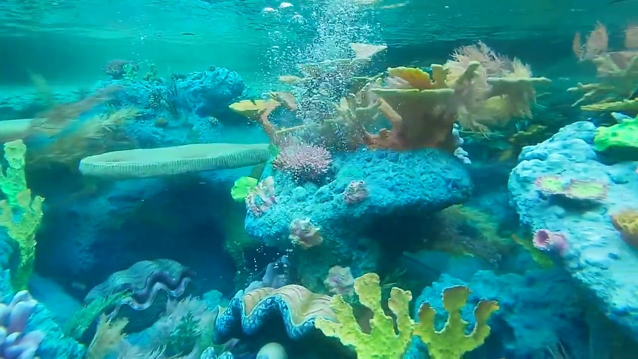 Finding Nemo ride at disneyland