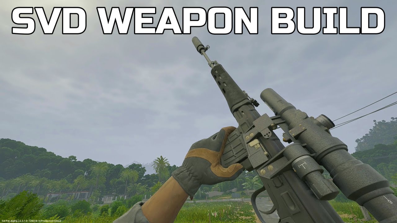 SVD Build In Gray Zone Warfare