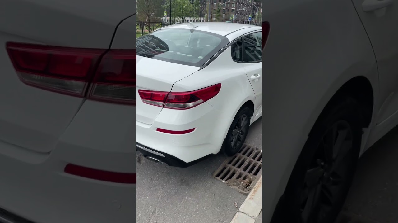 Kia Optima 2019 г.в. 2.0 АКПП