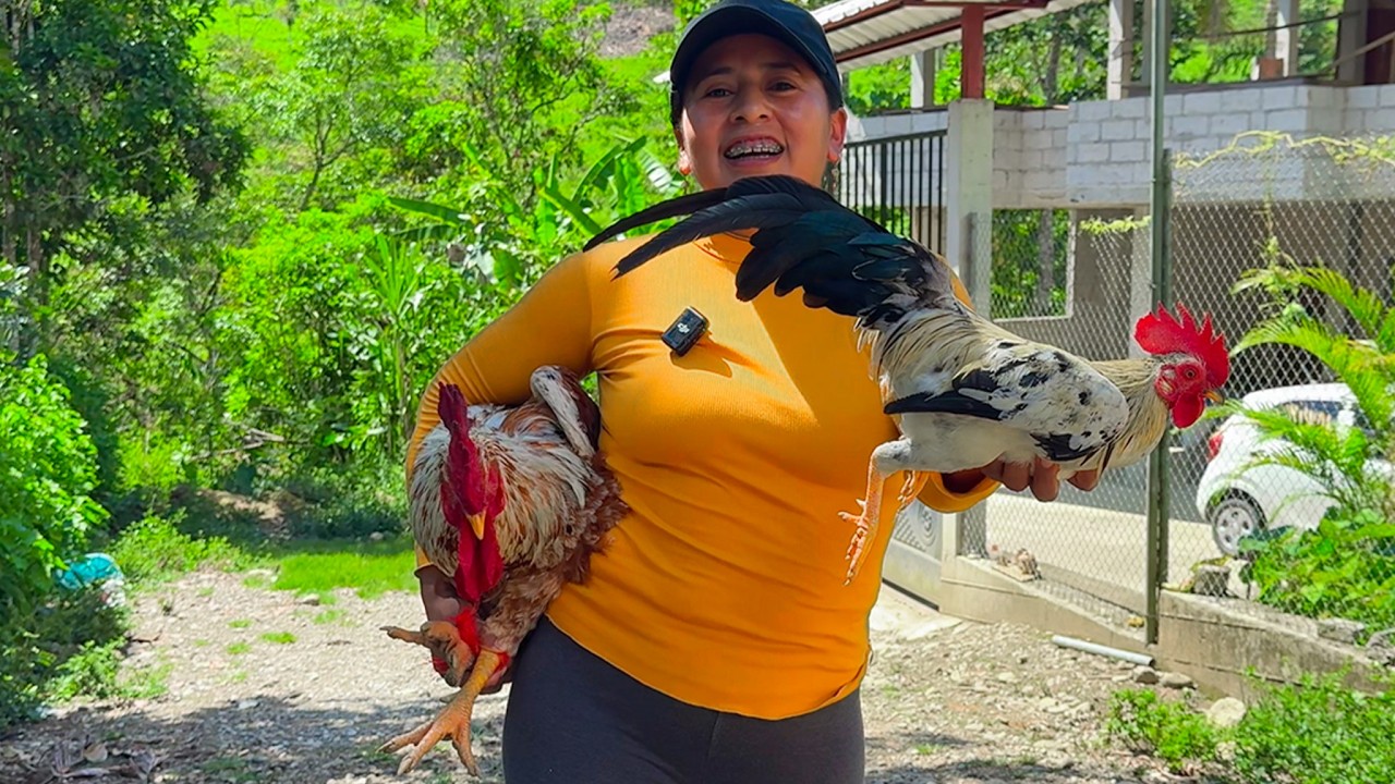Vendí los GALLOS de mi GRANJA | Doña Viky | Viky Aventura