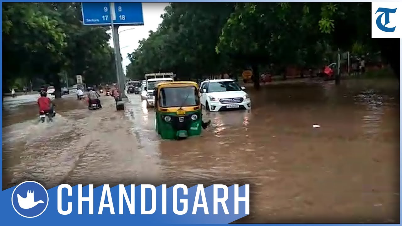 Heavy rain in Chandigarh brings city to a standstill; more forecast