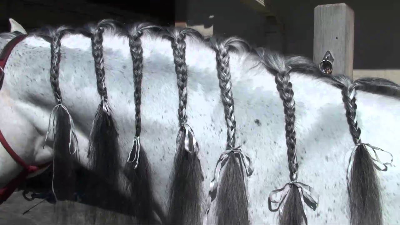 How to Manage a Long Mane
