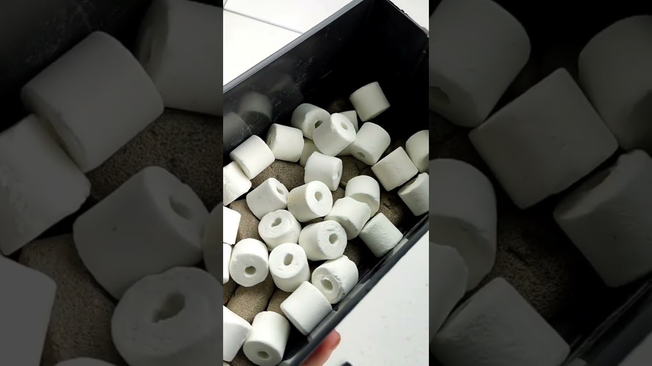 TOP FILTER TERBAIK UNTUK AQUARIUM 40-60 Cm