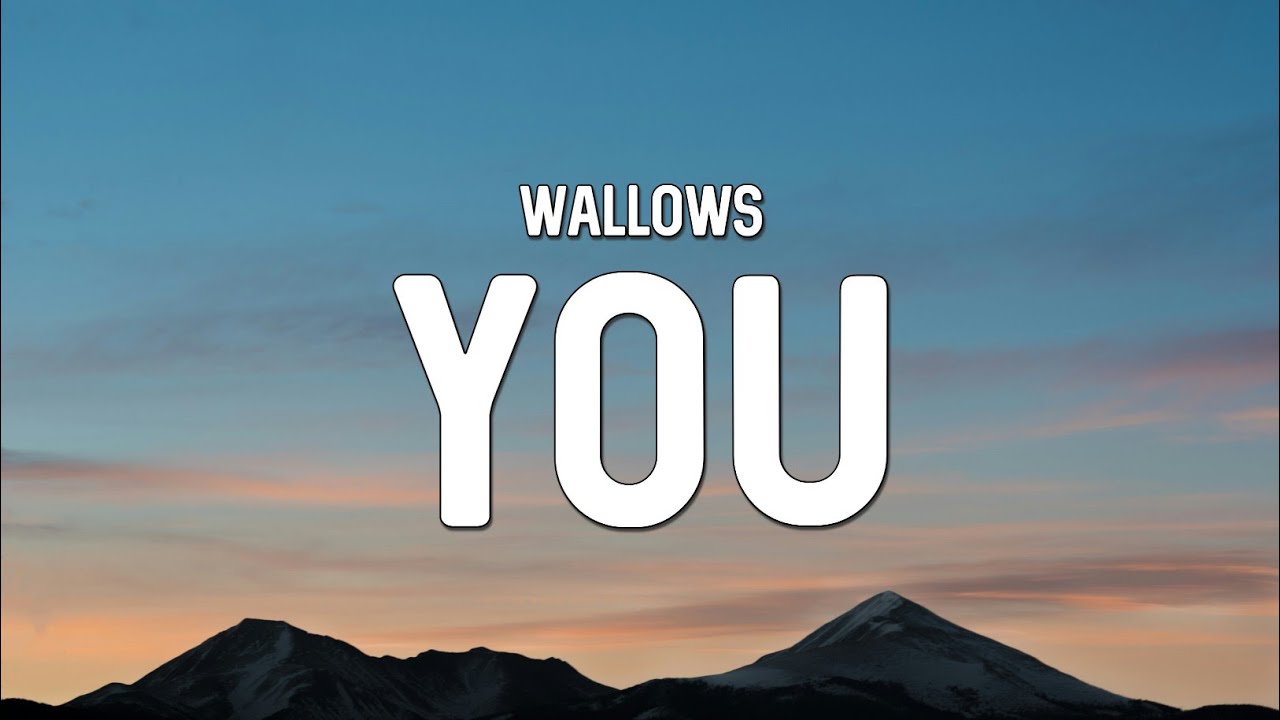 Wallows – You (Show Me Where My Days Went) [Lyrics]