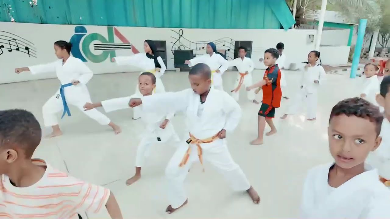 Kanano Dojo : Progrès, détermination et esprit sportif !