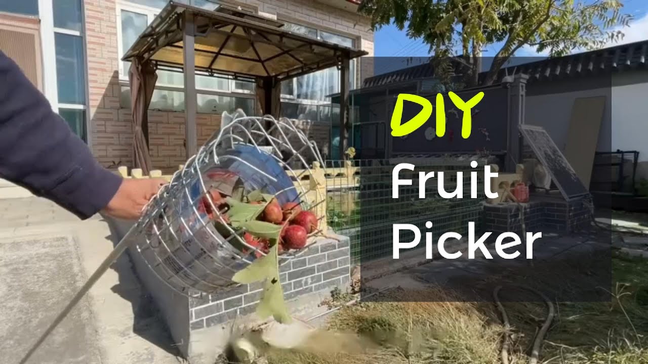 DIY Fruit Picker for the Great Hawthorn Harvest
