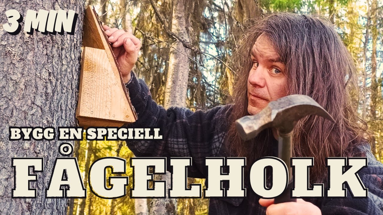 Bygg en holk åt trädkryparen #fågelholk #sverige #diycrafts #birdbox #tutorial