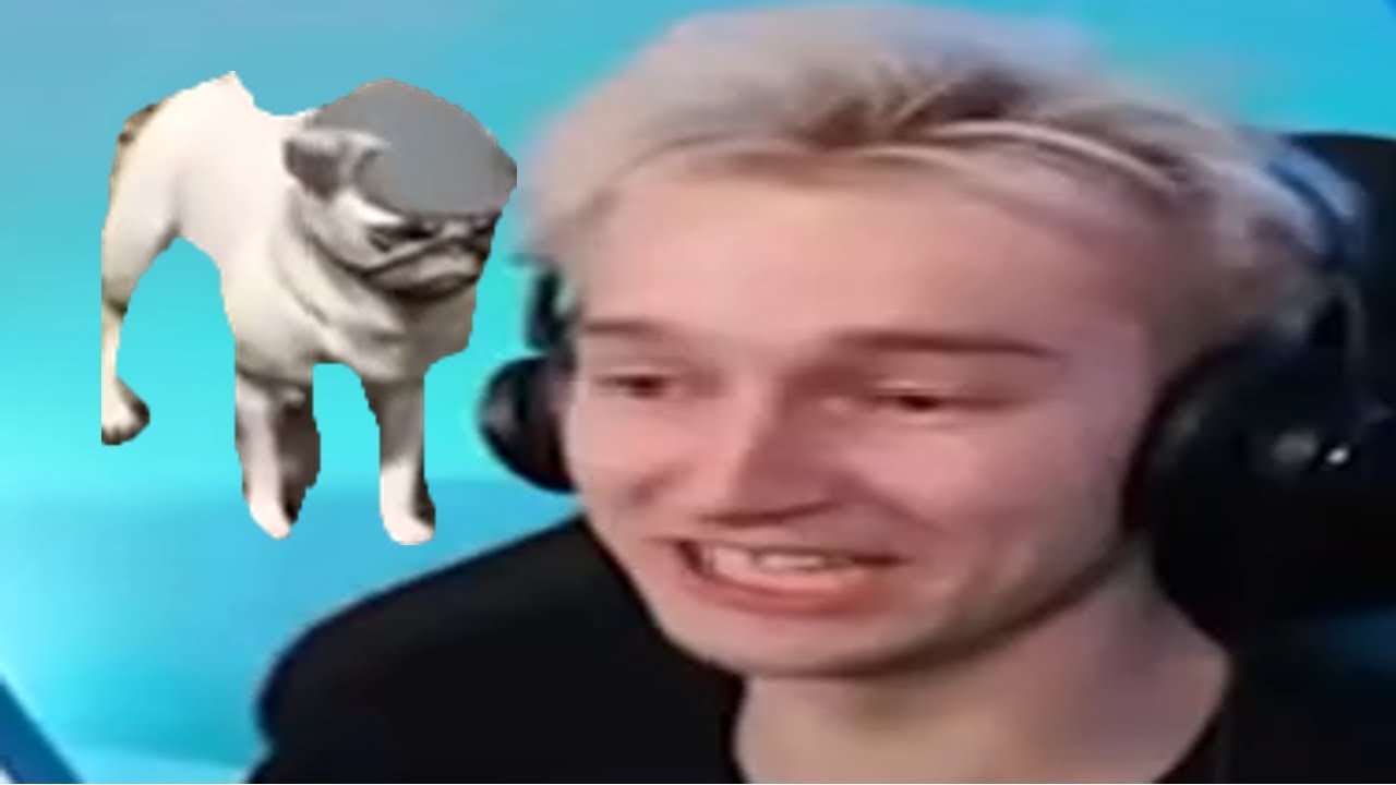 𝐓𝐎𝐏 𝟓 𝐅𝐔𝐍𝐍𝐘 𝐌𝐎𝐌𝐄𝐍𝐓𝐒 | 𝐁𝐔𝐁𝐔Ś *𝘽𝙐𝘽𝙐Ś 𝙒 𝘼𝙆𝘾𝙅𝙄*
