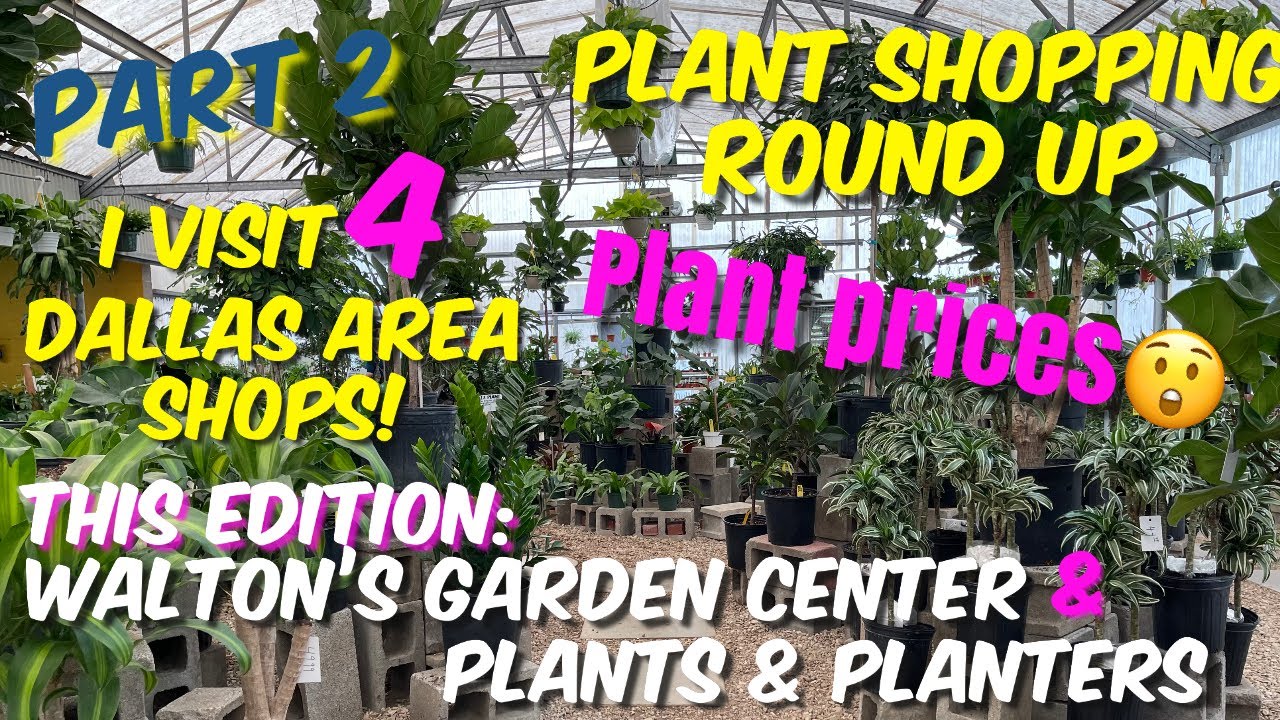 172: Plant Shopping Weekend Roundup! Part 2 | DFW Metro Plant Nurseries | Price $ Hike Rant Included