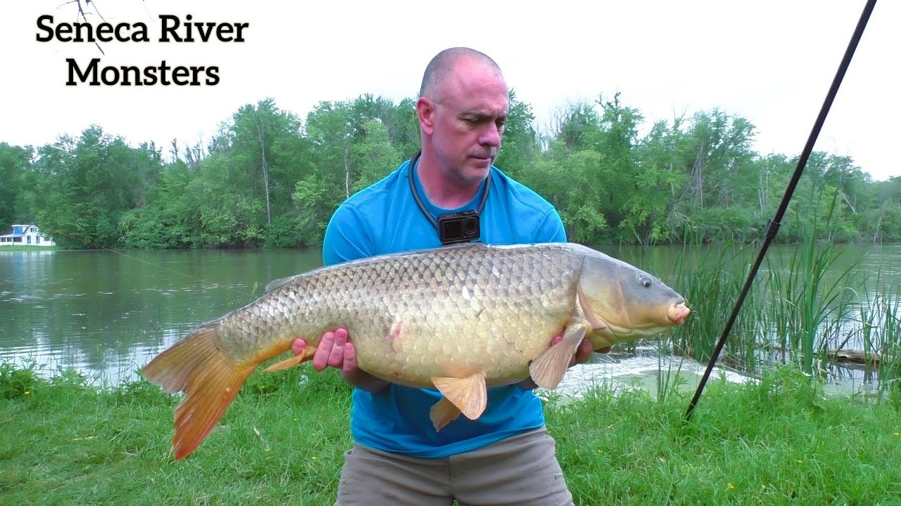 Carp Fishing the Seneca River || Hang-ups and Heartache