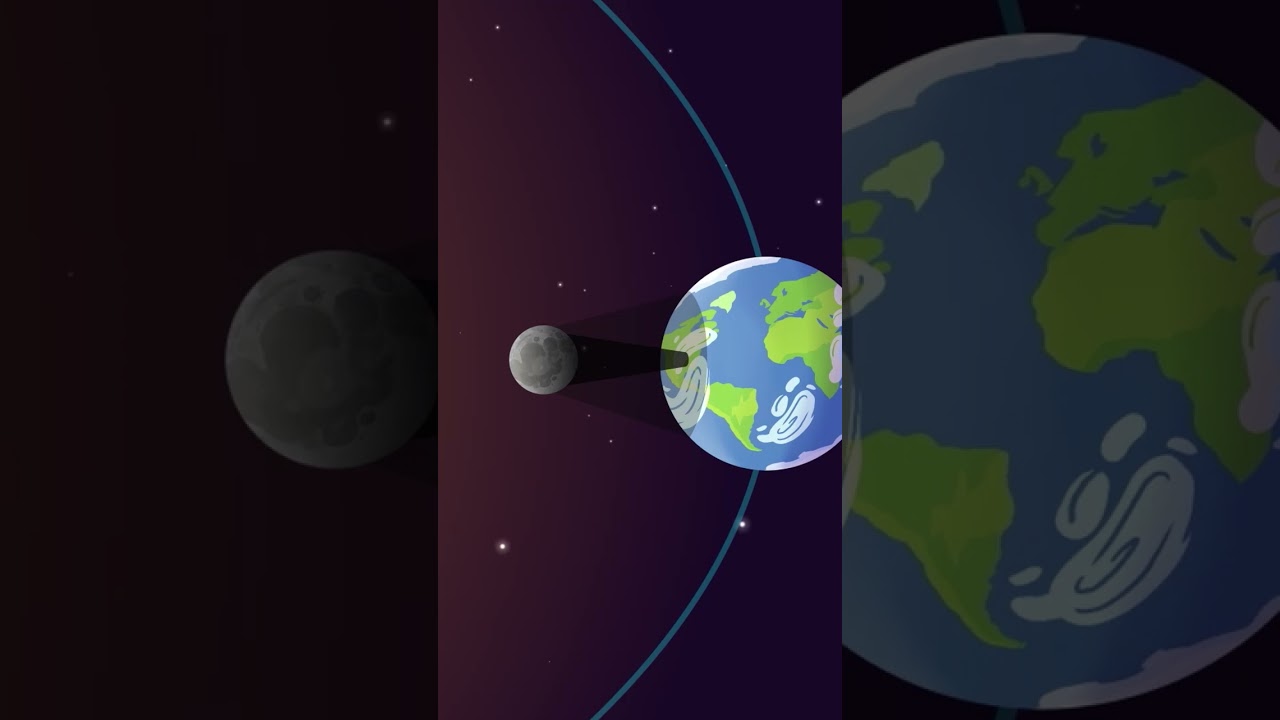 Eclipses - Camale&oacute;n y las naturales ciencias