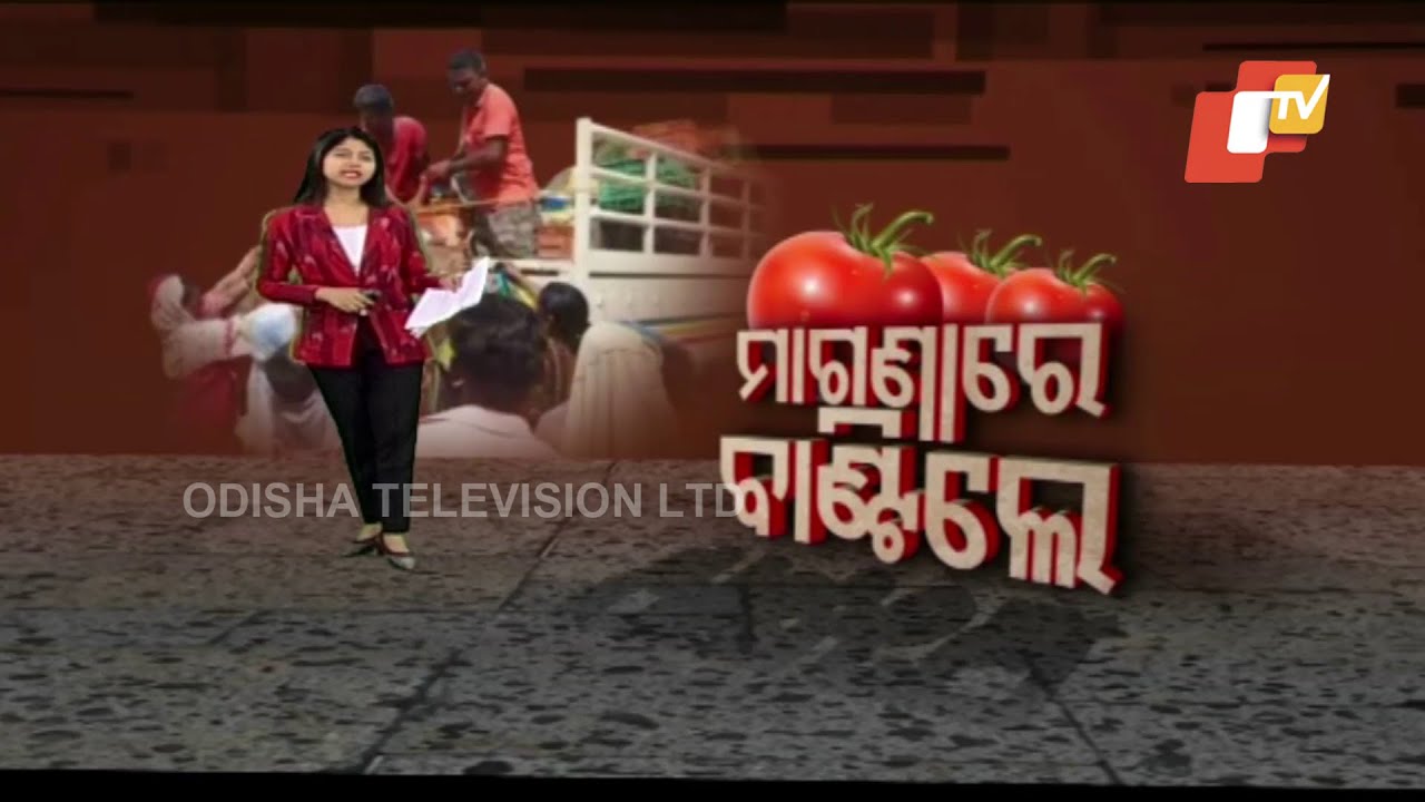 Distribution Of Free Tomatoes - OTV Discussion