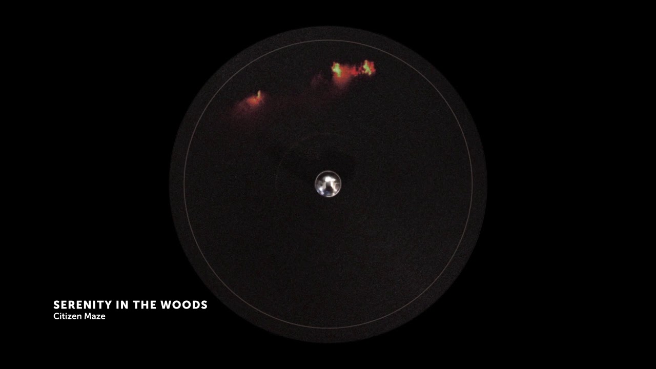 Citizen Maze - Serenity In The Woods