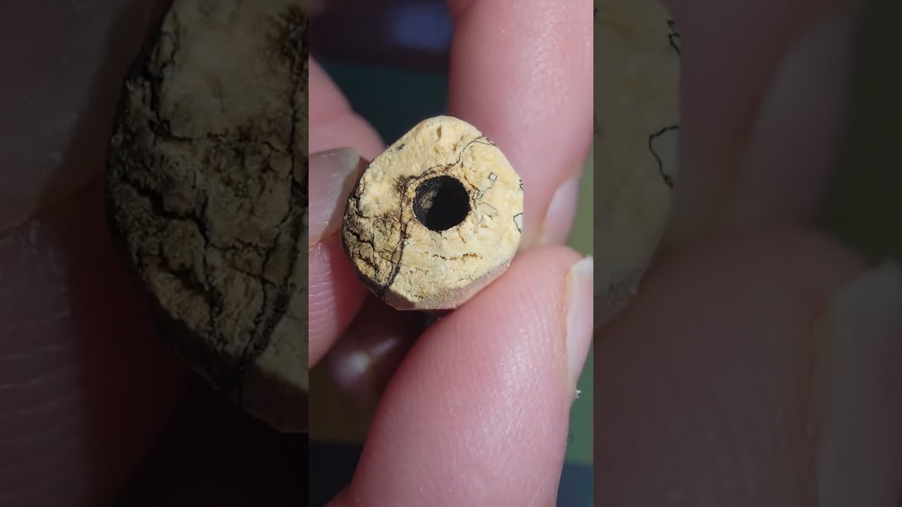 Their's Hope Yet #makestuff #artsandcrafts #woodworking #woodart #woodcarving #woodcraft #shortvideo