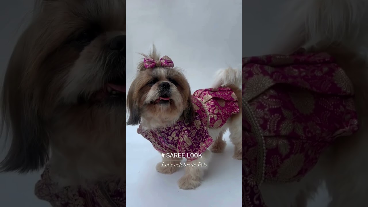 The Cutest Dog Wedding Outfits EVER &ndash; Prepare to Melt!