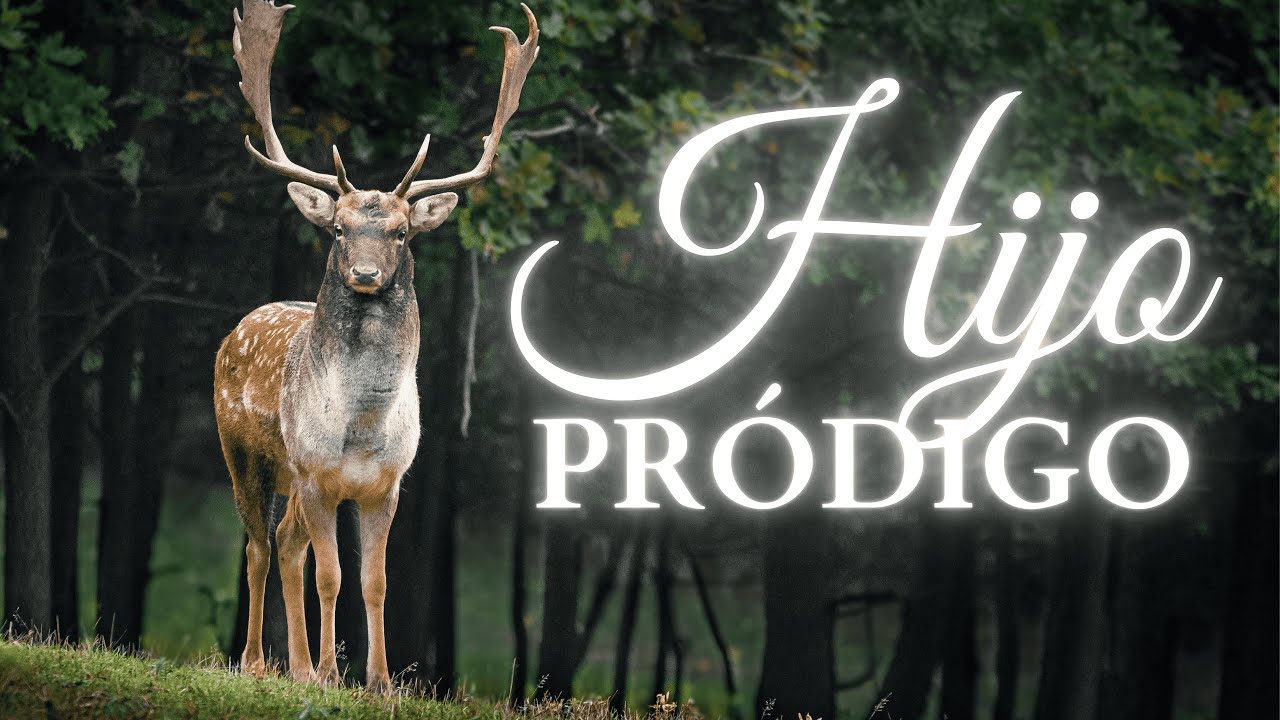 HIJO PRÓDIGO | LETRA