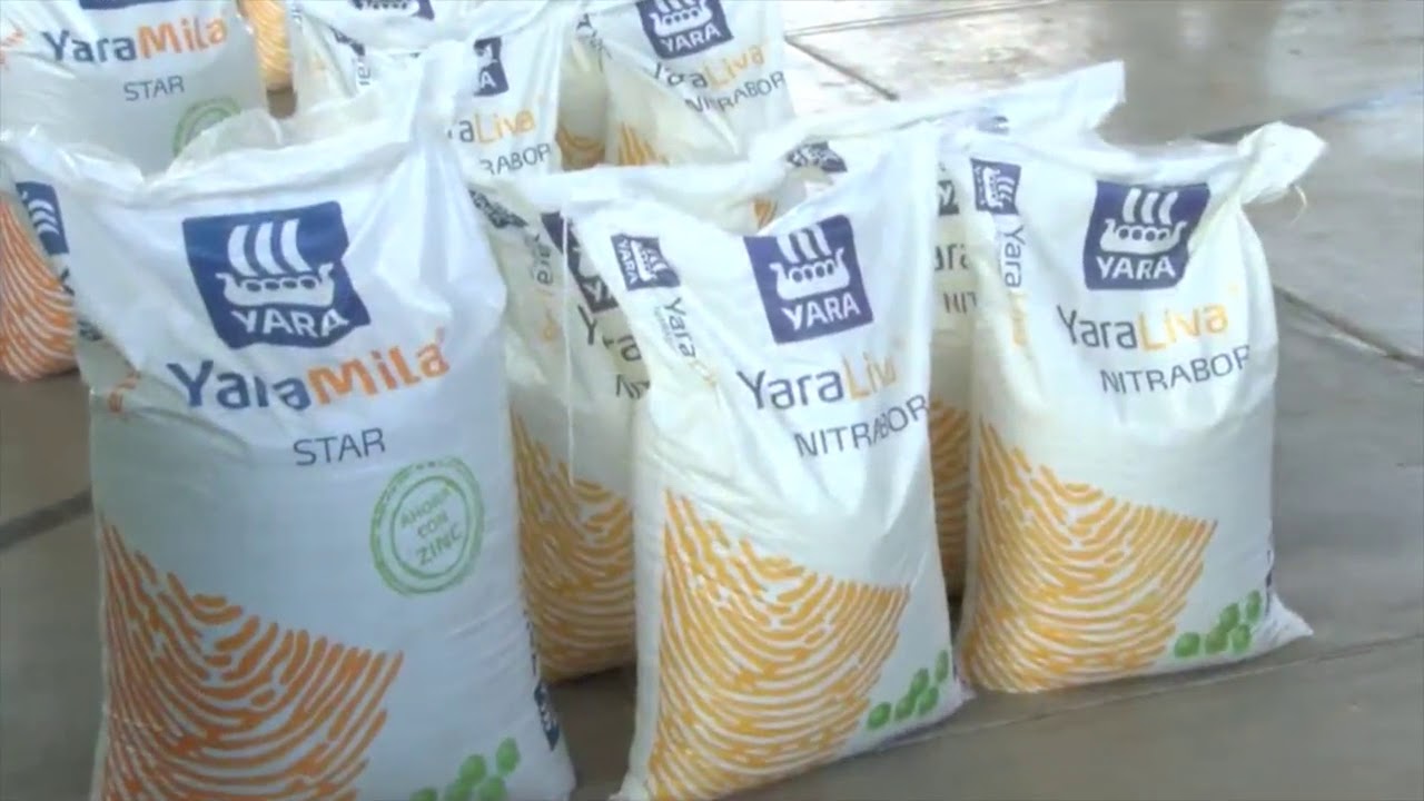 Pascala del Oro con aroma de caf&eacute;