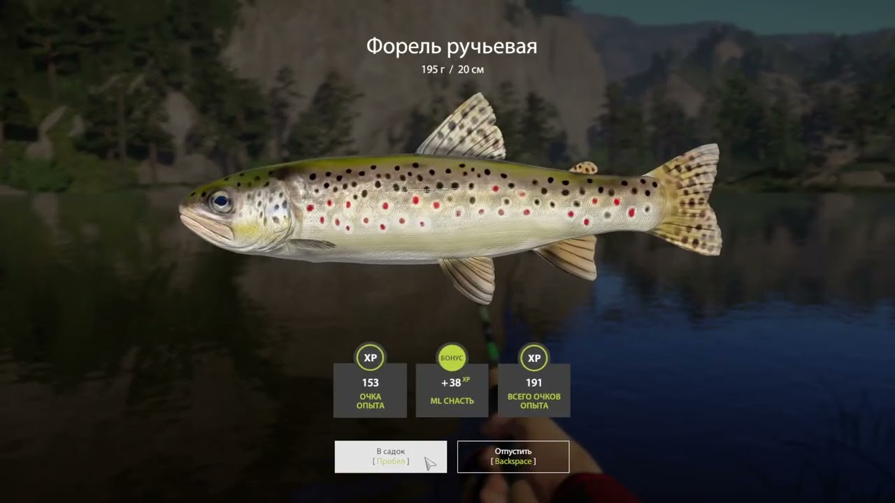 Ч.17.Пруэт!🎅🖖Походу сбил режим с этой игрой,не могу ус�
