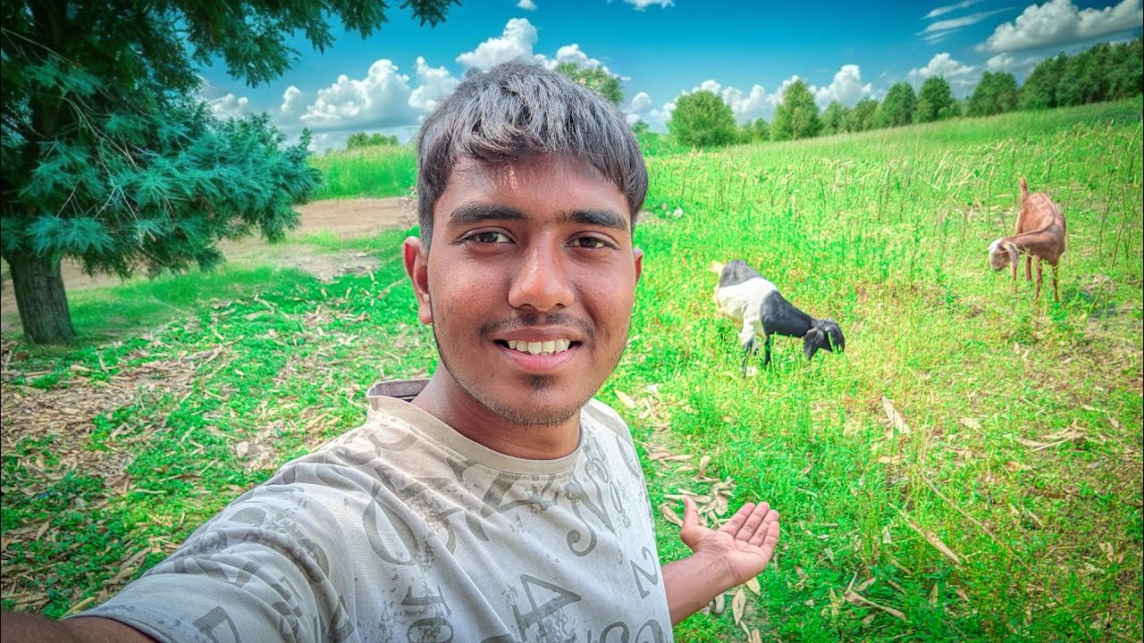 জমিতে ছাগল চরাচ্ছি🙂।
