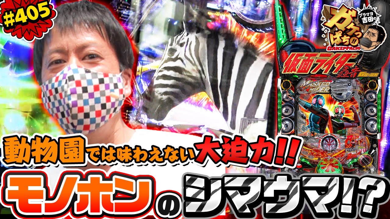 #405「動物園では味わえない大迫力!!　モノホンのシマウマ!?」ブラマヨ吉田のガケっぱち!! 〈ぱちんこ 仮面ライダー 轟音〉［公式/毎週月曜日更新］