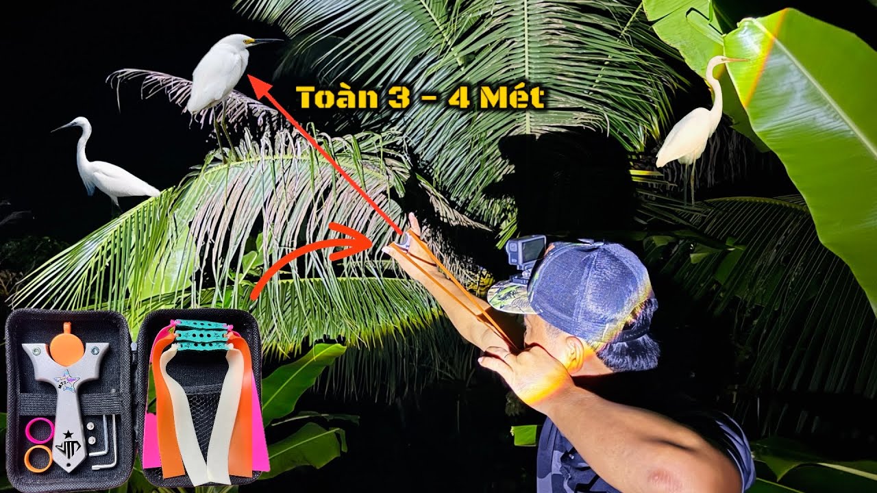 Mét 72 - Săn Đêm Đụng Độ Vườn Cò Trắng Khủng Hàng Ngàn con || The Hunter and a Thousand White Storks