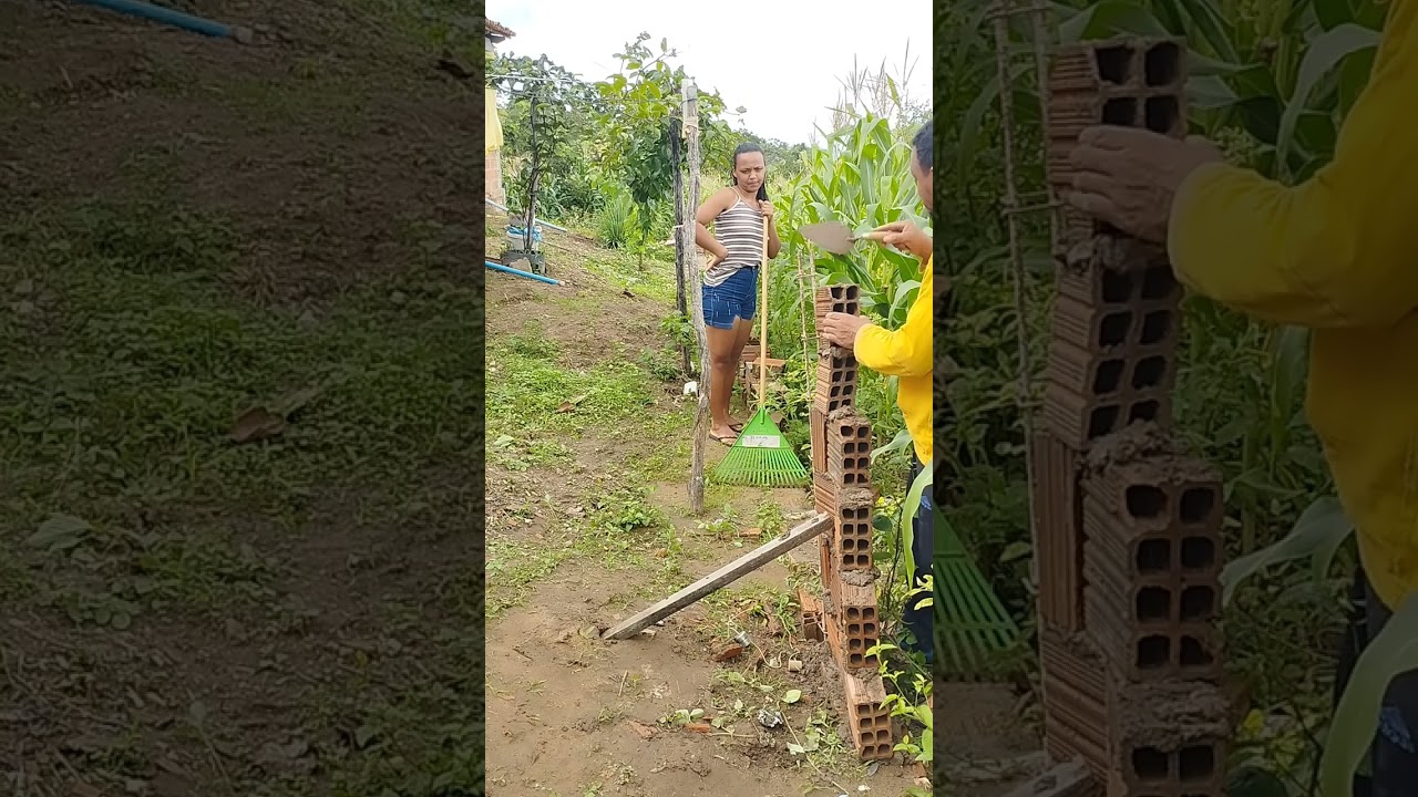 pedreiro rei da trena e seus servi&ccedil;os porco
