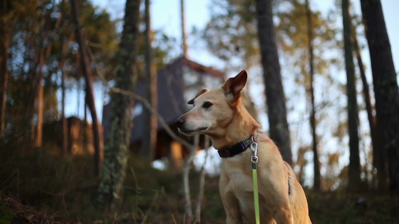 Lima Escape Camping & Glamping