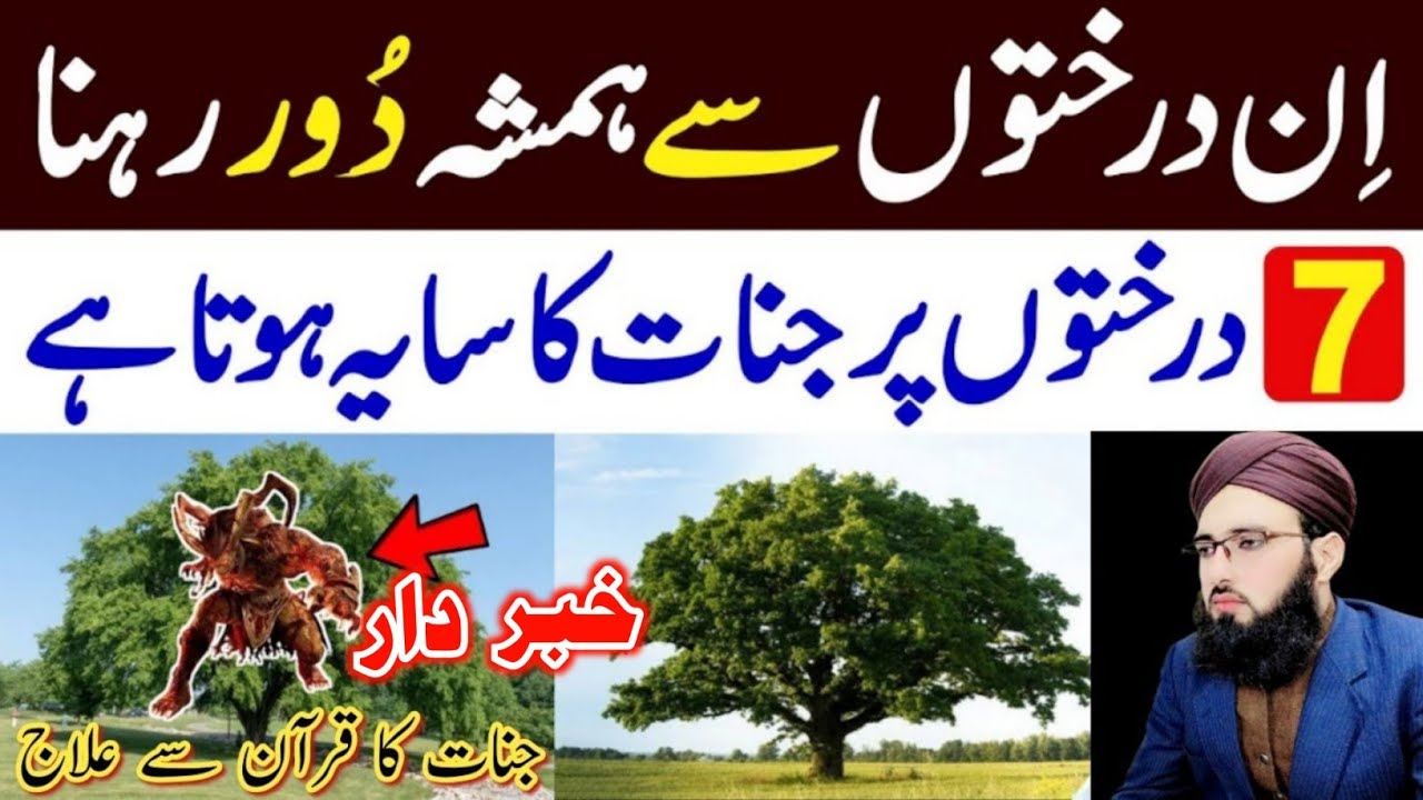7 Darakhton Par Jinnat Ka Saya Hota Hai | Shabe Barat Beri Ke Paton se Ghusal | Allama Abdul Rauf